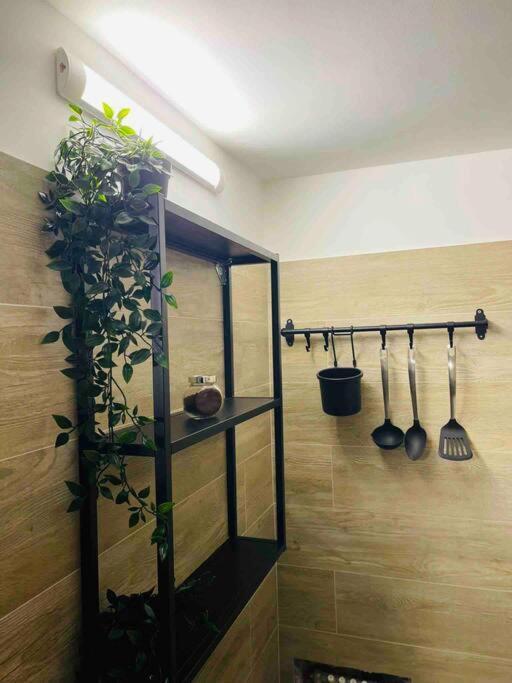 Appartement Bella Sicilia à Palerme Extérieur photo